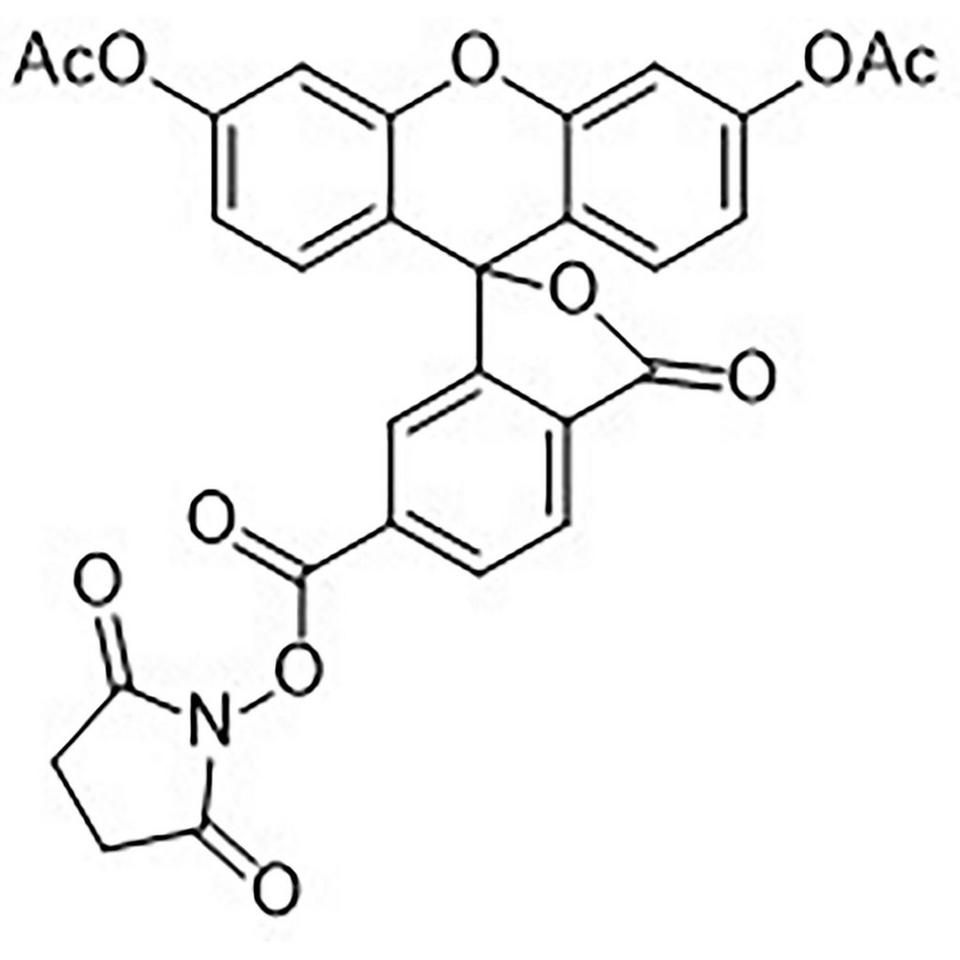 6-Carboxyfluorescein Diacetate N-Hydroxysuccinimide Ester